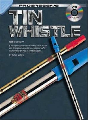 Tin Whistle For Beginners