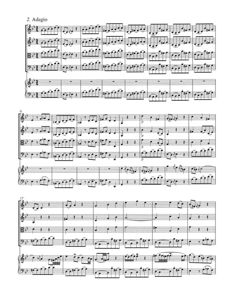 Johann Sebastian Bach: Harpsichord Concerto No.1 in D minor: Ensemble de Chambre