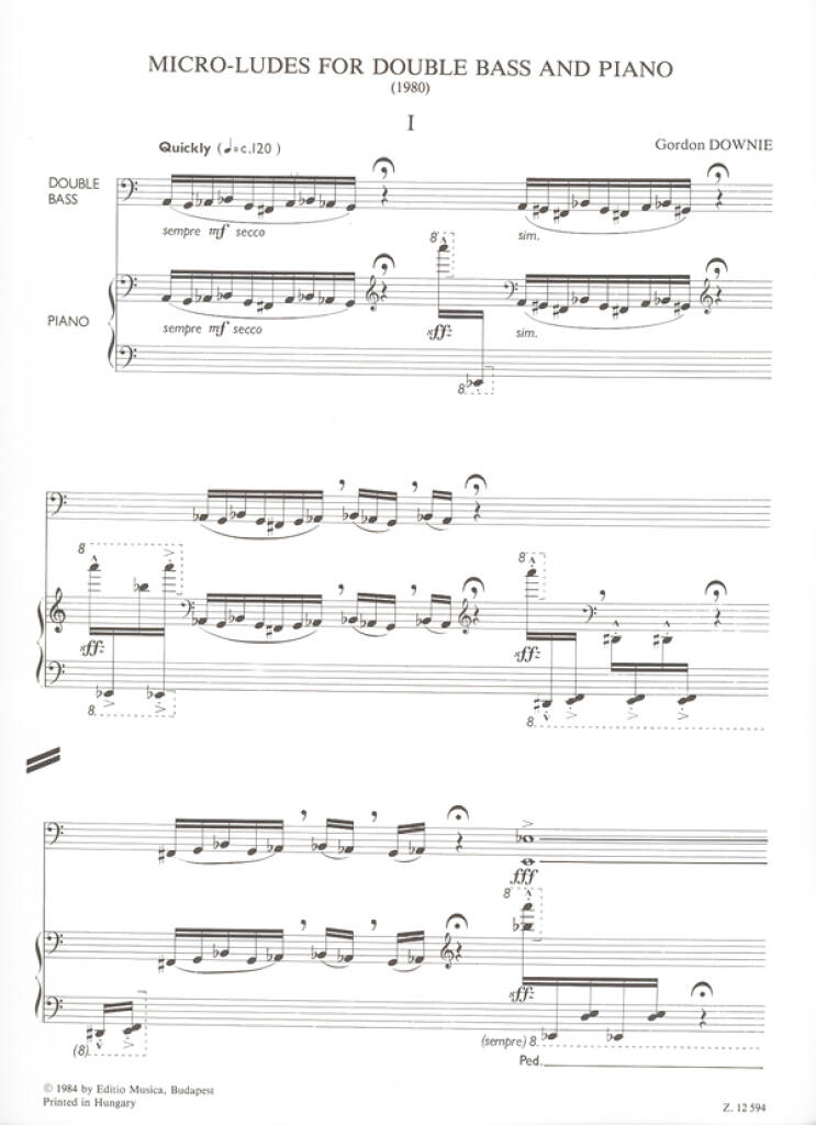 Gordon Downie: Micro-ludes: Contrebasse et Accomp.