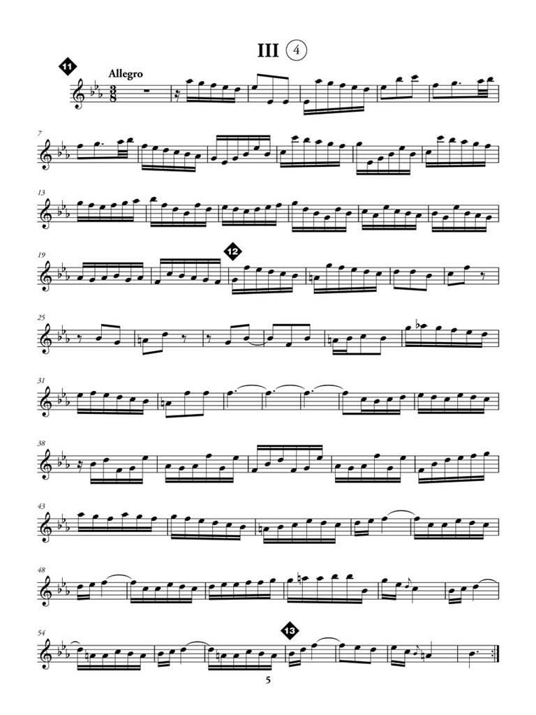 Flute Sonata in E-flat Major, BWV 1031: Solo pour Flûte Traversière