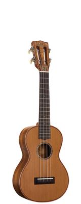 Master Series Concert Electro Ukulele