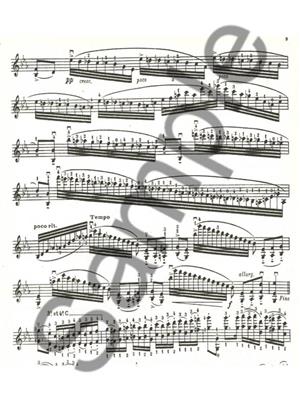 Niccolò Paganini: 24 Caprices Op.1, Vol.2: Violon et Accomp.
