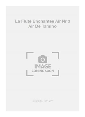 Wolfgang Amadeus Mozart: La Flute Enchantee Air Nr 3 Air De Tamino: Chant et Piano