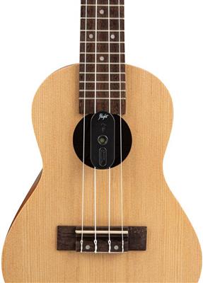 Ukulele Humidifier - Black