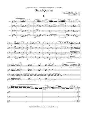 Friedrich Kuhlau: Grand Quartet in E Minor, Op. 103: (Arr. Matt Johnston): Flûtes Traversières (Ensemble)