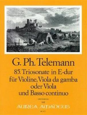 Georg Philipp Telemann: Triosonate in E-dur: Ensemble de Chambre