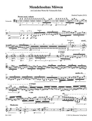 Manfred Trojahn: Mendelssohns Möwen: Solo pour Violoncelle