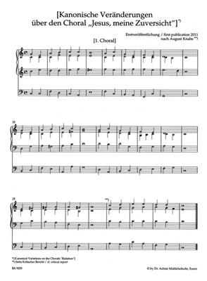 Wilhelm Middelschulte: Original Compositions 5: Orgue