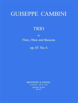 Giuseppe Cambini: Trio op. 45 Nr. 6: Bois (Ensemble)