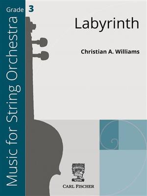 Christian A. Williams: Labyrinth : Orchestre à Cordes