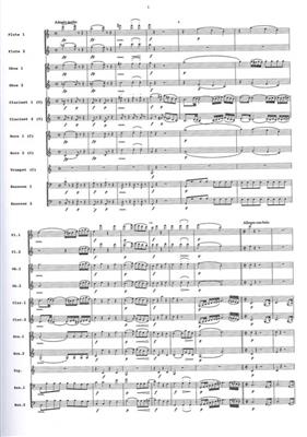 Ludwig van Beethoven: Symphonie 01: Vents (Ensemble)