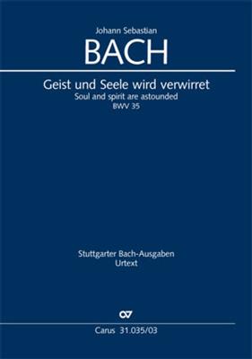 Johann Sebastian Bach: Geist und Seele Wird Verwirret: Orchestre et Voix