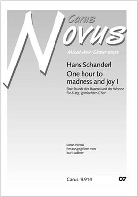 Hans Schanderl: One hour to madness and joy: Musical