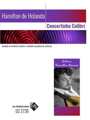 Hamilton De Holanda: Concertinho Colibri: (Arr. V. Santos): Orchestre et Solo