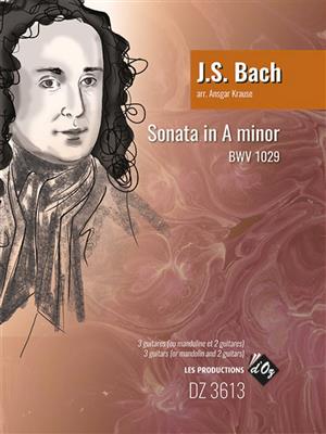 Johann Sebastian Bach: Sonata in A Minor BWV 1029: (Arr. Ansgar Krause): Trio/Quatuor de Guitares