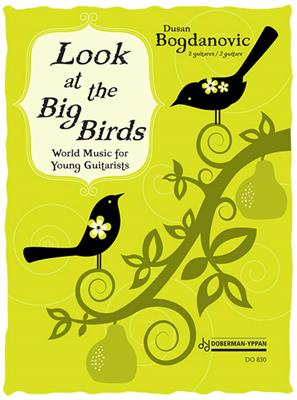 Dusan Bogdanovic: Look at the Big Birds: Duo pour Guitares