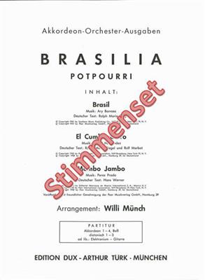 Willi Münch: Brasilia: Accordéons (Ensemble)