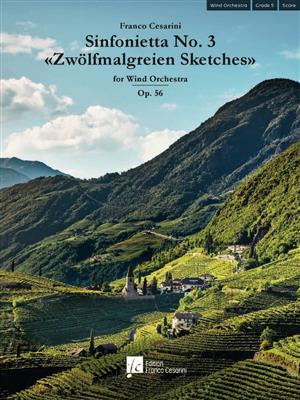 Franco Cesarini: Sinfonietta No. 3 "Zwölfmalgreien Sketches" Op. 56: Orchestre d'Harmonie