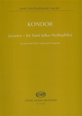 Adam Kondor: Joyance - for Saint Julius Hydrophilos for picco: Ensemble de Chambre