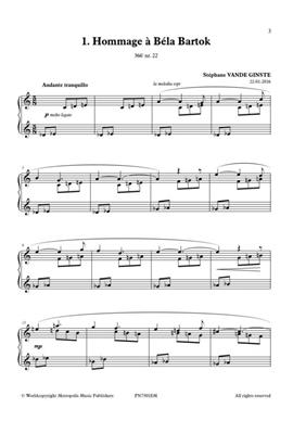 Stéphane Vande Ginste: Complete 366' - Book XXVIII: 12 Hommages: Solo de Piano