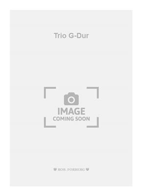 Johann Gottlieb Graun: Trio G-Dur: Violon et Accomp.