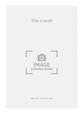 Georg Philipp Telemann: Trio c-moll: Instruments en Do