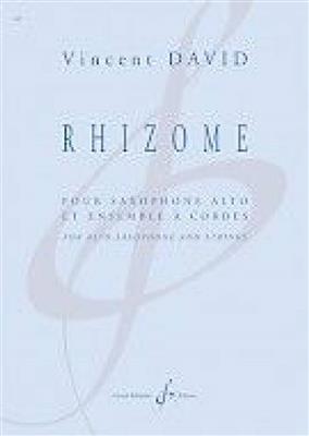 Vincent David: Rhizome: Orchestre et Solo