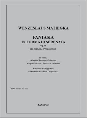 Wenzeslaus Matiegka: Fantasia In Forma Di Serenata Op. 30: Ensemble de Chambre