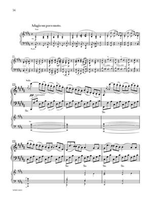 Concerto No. 5 in E-flat Major, Op. 73: Solo de Piano