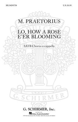 Michael Praetorius: Lo How A Rose E'er Blooming A Cappella: Chœur Mixte A Cappella