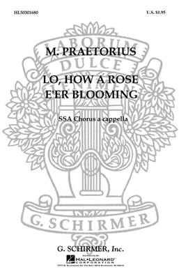 Michael Praetorius: Lo How A Rose E'er Blooming A Cappella: (Arr. D Shand): Voix Hautes A Cappella