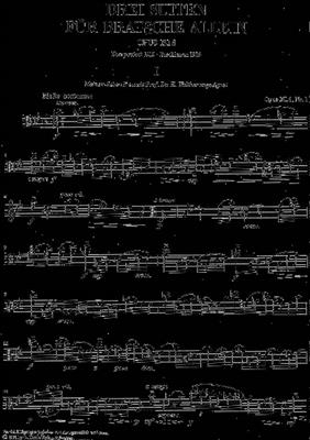 Max Reger: 3 Suiten Opus 131D: Solo pour Alto