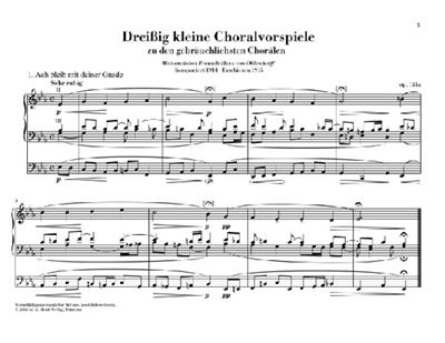Max Reger: 30 Kleine Choralvorspiele Opus 135A: Orgue