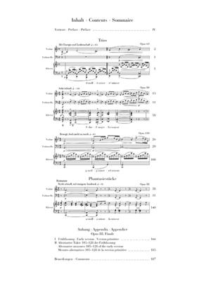Robert Schumann: Werke für Klaviertrio: Trio pour Pianos