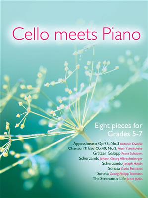 Cello Meets Piano: Violoncelle et Accomp.