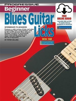 Progressive Beginner Blues Lead Guitar Licks