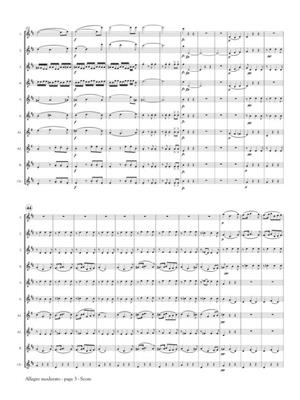 Franz Schubert: Allegro Moderato from Symphony No. 8: (Arr. Shaul Ben-Meir): Flûtes Traversières (Ensemble)