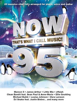 Now That's What I Call Music 95: Piano, Voix & Guitare