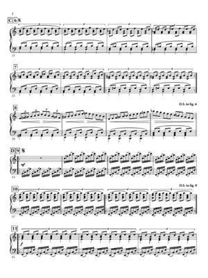 Philip Glass: Passacaglia: Solo de Piano