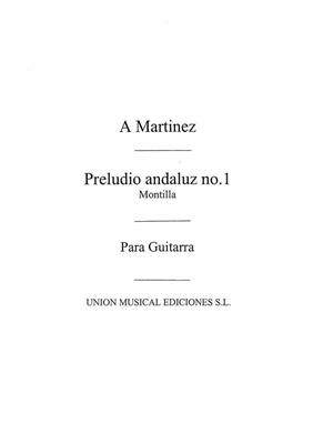 Preludio Andaluz No.1: Solo pour Guitare