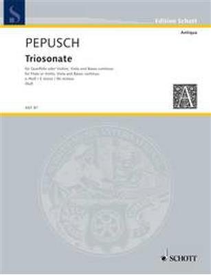 Johann Christoph Pepusch: Triosonata e minor: Ensemble de Chambre