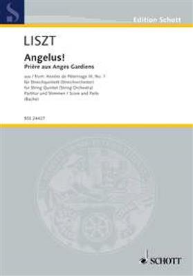 Franz Liszt: Angelus!: (Arr. Walter Bache): Orchestre à Cordes
