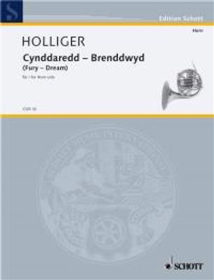 Heinz Holliger: Cynddaredd - Brenddwyd: Solo pour Cor Français