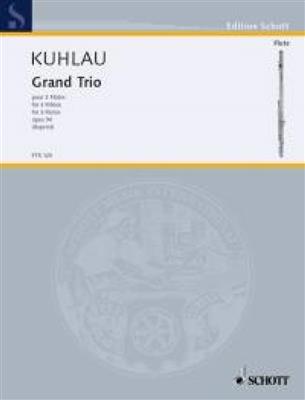 Friedrich Kuhlau: Grand Trio op. 90: Flûtes Traversières (Ensemble)