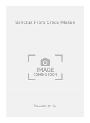 Wolfgang Amadeus Mozart: Sanctus From Credo-Messe: (Arr. Patrick M. Liebergen): Chœur Mixte et Accomp.