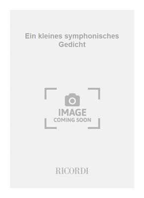 Georg Friedrich Haas: Ein kleines symphonisches Gedicht: Orchestre Symphonique