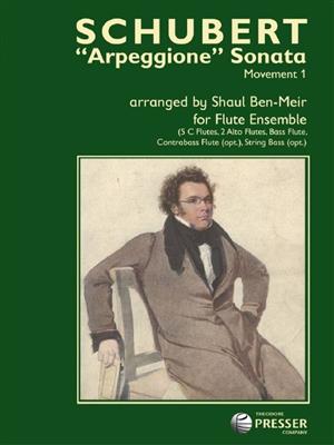 Franz Schubert: Arpeggione Sonata - Movement 1: (Arr. Shaul Ben-Meir): Flûtes Traversières (Ensemble)