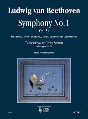 Ludwig van Beethoven: Sinfonia N. 1 Op. 21: Vents (Ensemble)