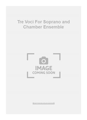 Arne Nordheim: Tre Voci For Soprano and Chamber Ensemble: Ensemble de Chambre