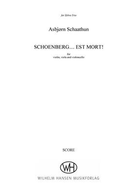 Asbjørn Schaathun: Schoenberg...est mort!: Cordes (Ensemble)